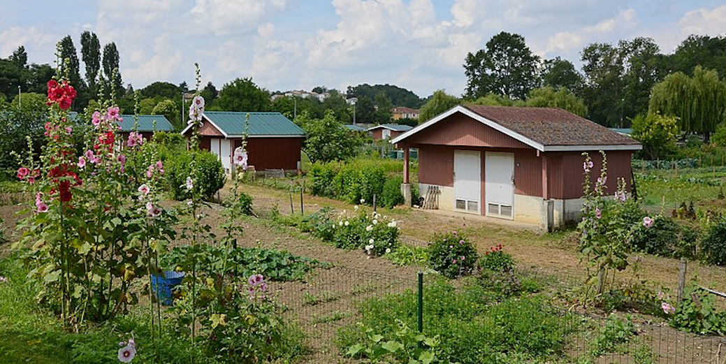 Jardin1
